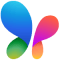 MSN